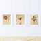Nacnic 3 Vintage Blumen Postern. Rote Blumen Posterset mit botanischen Bildern in neutralen Tönen. Pflanzen Poster. Natur, Flora, Kräuterkunde. A4 ohne Rahmen.