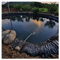Gartenteichfolie PVC Teichfolie Schwarz Teichfolie Gartenteich HDPE für Fischteich Bachbrunnen Wassergarten Wasserdichte Teichfolie Gartenteichfolie, Mehrere Größen(Color:20S,Size:6x6M(19.7x19.7ft))