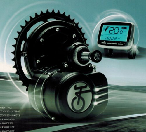 Hallomotor 36V 250W 36V 350W 36V 500W Motor mit Freilauf Pedelec E-Bike Umbau Kits (36V 350W)