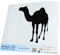 INDIGOS UG Auto Aufkleber Lama Alpaca Kamel - 200x177mm schwarz - Selbstklebender Sticker für Auto, Fenster, Bus oder LKW - Tuning