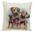 Fan-O-Menal Deko- Kissen aus der ©Kollektion Bötzel - Rhodesian Ridgeback - Größe ca. 40 x 40 cm - 09119 - Dekokissen