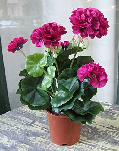 Licht & Grün exclusive Kunstpflanzen Künstliche Geranie lila Top Qualität Künstliche Blumen