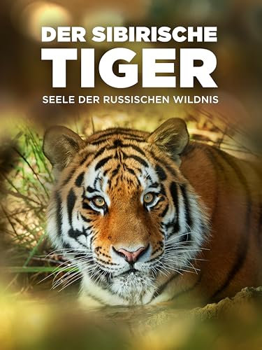 Der Sibirische Tiger - Seele der russischen Wildnis