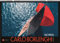 Yachting - Carlo Borlenghi - Kalender 2025 - Delius-Klasing-Verlag - Wandkalender mit Yachtfotografie der Spitzenklasse - 72 cm x 51 cm
