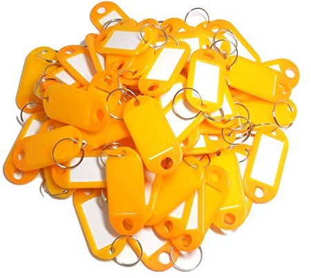 TOOLSTAR Lot de 100 étiquettes d'identification en plastique avec porte-clés pour bagages, nom d'animal domestique (orange)