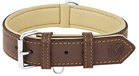 Riparo Echtes Leder Verstellbares Hundehalsband mit Zusätzlicher Verstärkung (M: 2,5CM Breit für 34,3CM - 44,5CM Hals, Braun)