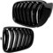 DM Autoteile Set Doppelsteg Kühlergrill Front Grill schwarz Glanz passt für X3 F25 X4 F26