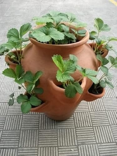 LA IBERICA Teinture fraiseuse en terre cuite avec 9 trous 45 x 45 cm