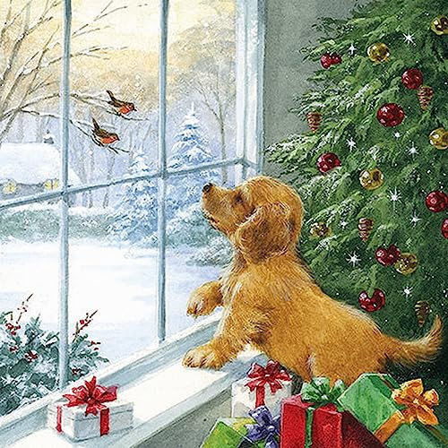 20 Servietten Weihnachten Hund beobachtet Vögel am Fenster als Tischdeko. Papierservietten mit Motiv. Auch für Decoupage und Serviettentechnik 33x33cm