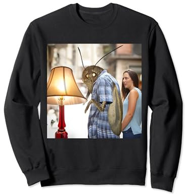 Motten Insekten Lampen Meme Y'all Got Any Uhhh Lamps? sarkastisch Sweatshirt
