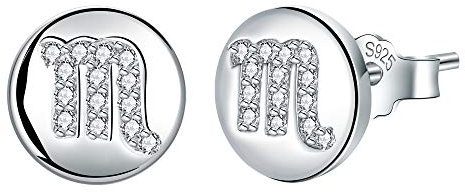 J.Endéar Sternzeichen Skorpion Ohrringe Damen Mädchen, Ohrstecker Silber 925 Zirkonia 8 * 8mm Runde Kleine Ohrringe Schmuck Geschenk