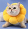 MHwan Collare elisabettiano Gatto, Puro Cotone Scamosciato Traspirante, Micro Impermeabile antimacchia,Simpatico Fiore Collare Protettivo Gatto(S)
