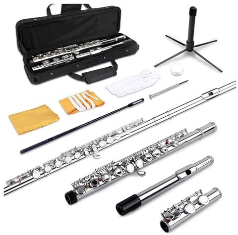 Querflöte Silberne Flöte Geschlossenes Loch C-Schlitz – Instrumental-Anfängerflöte Mit Kofferhandschuhen(Cloth box)