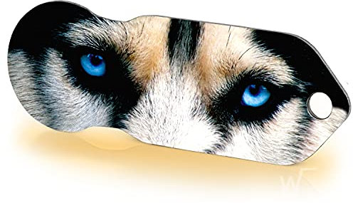 Einkaufswagenlöser ® Husky/Entriegler für Einkaufswagen – inkl. 1 Jahr Schlüsselfundservice/Einkaufswagenchip abziehbar/Einkaufschip zum rausziehen/Schlüsselanhänger Metall / 1 Stück