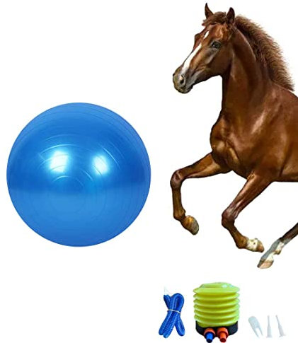 Chyesong Pferdeball Trainingsspielzeug, Anti-Burst Pferd Übungsball Spielzeug mit Inflator Pumpe für Pferd Lamm Ziege Unterhaltung Spielzeug Ball (55,9 cm, Blau)