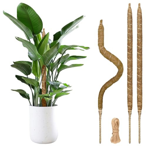 28 Bendable Plant Support Moss Pole 3 Pack for Climbing