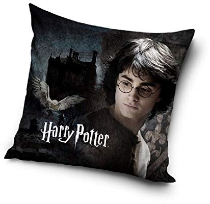 Harry Potter Hogwarts Kissen Füllung Dekokissen Zierkissen 40cmx40cm