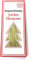 PepperLonely 2000 Strands Icicles Tinsel Tree Christmas Decorations, Gold