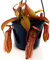 POWERS TO FLOWERS - NEPENTHES MIRANDA, BASKET 16CM, pianta vera