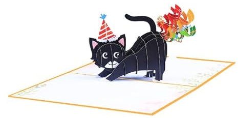 SPDYCESS 3D Pop Up Karte Geburtstag Katze, Geburtstagskarte Lustig Regenbogen Schwarz Katze Pop Up Karte Katze für Katzenliebhaber Geburtstagskarten für Kinder Jungen Mädchen