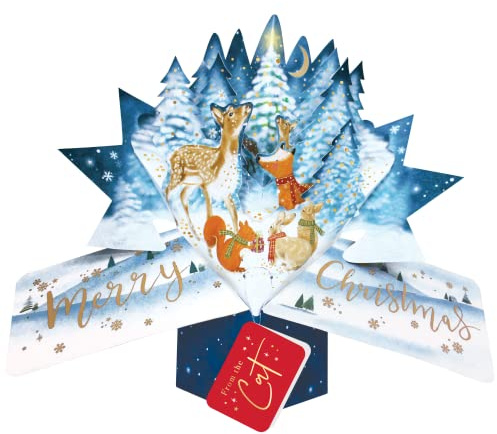 From The Cat Christmas Card 3D Woodland Animals Pop Up Christmas Card Xmas Cards POP064X52