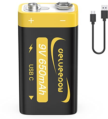 Delyeepow 9V Rechargeable Battery USB Rechargeable 9V Lithium Batteries, 9V Battery for Smoke Alarm, Multimeter, Microphone, 650mAh 1500 Cycle with USB Cable (1-Pack)