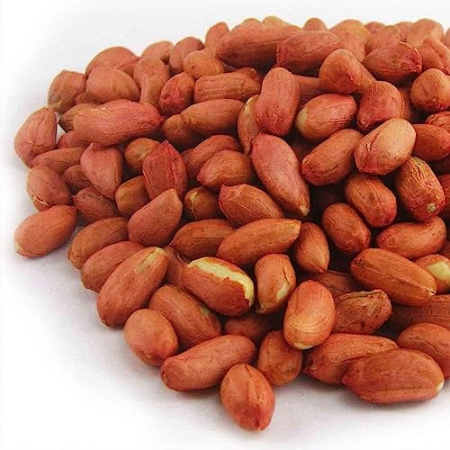 GardenersDream Ganze Erdnüsse - Frisches Premium-Wildvogelfutter, Nussfutter für Gartenvögel (5kg)