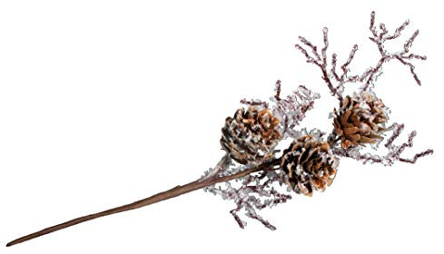 Rayher 55915000 Lärchenzapfenzweig, 26 cm, Natur, Normal