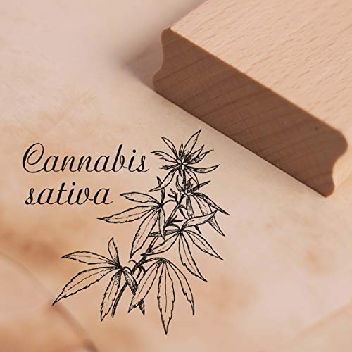 Stempel Cannabis sativa - Motivstempel ca. 38 x 38 mm