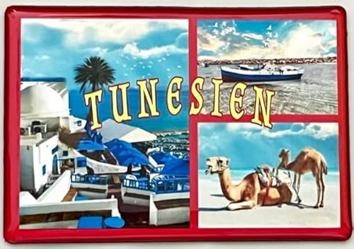 Tunesien Magnet, Tunesien Souvenir, Tunesien Kühlschrankmagnet, Tunesien Geschenkartikel 190823