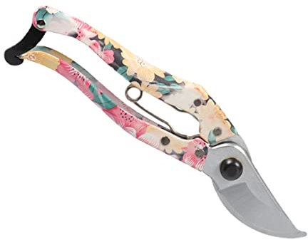 Gartenschere, Baumschneider, Handschere – ideale Ast-, Hecken-, Strauch- und Buschschere – messerscharfe Bypass-Gartenschere, ergonomisches Gartengerät für mühelose Schnitte, Zange (Größe: Blau) ( )