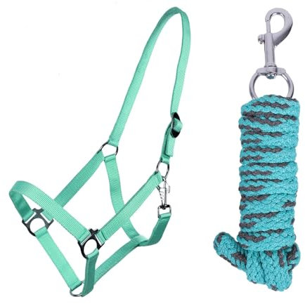 ARBO-INOX Halfter-Set Beginner de lux - Halfter + Führstrick - graue Akzente - verstellbar (Full WARMBLUT, TÜRKIS)