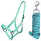 ARBO-INOX Halfter-Set Beginner de lux - Halfter + Führstrick - graue Akzente - verstellbar (Full WARMBLUT, TÜRKIS)