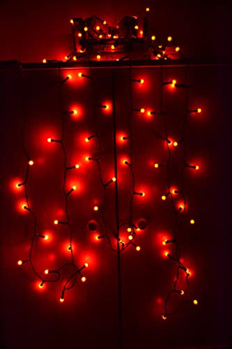 Christmas Concepts 50/100/200 LED Berry Lights Christmas Tree Decorations - Indoor Lights (200 X RED Berry Light)