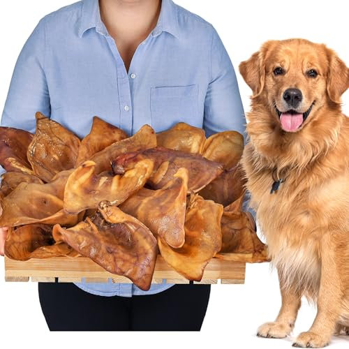 Orejas de cerdo para perros, 20 unidades, tamaño XL, 1,2 kg, orejas de cerdo secas enteras, artículos para masticar, 100% naturales, diversión duradera para masticar, sin cereales, ideal para perros