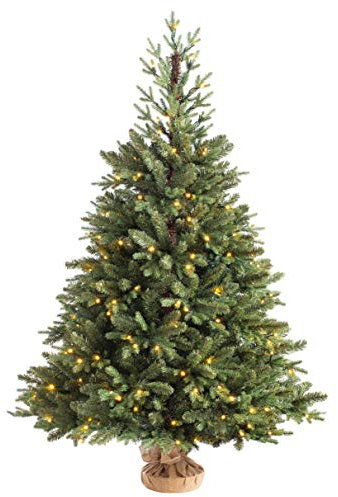 WeRChristmas Norway Spruce Potted Christmas Tree with 130 Chasing Warm LED Lights, Multi-Colour, 4 feet/1.2m