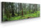 Wunderschönes Leinwandbild Wald Panorama 150x50cm – Ein einzigartiges Foto - Hoh Regenwald – als Wandbild. Eine schöne Wanddeko für Wohnzimmer & Schlafzimmer. Aufgespannt auf Holzrahmen