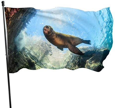 Niedliche hässliche Seelöwen-Tier-Partyflagge, Dekorationen, bedruckte Flaggen, 90 x 150 cm, lebendige Farben, hochwertiges Polyester und Messingösen