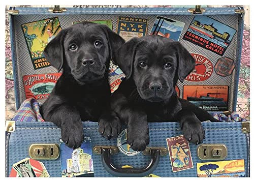 Puzzle 500 pièces : Chiots Dans UNE Valise