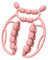 Hellery Rodillo de Relajación para Fascia con 20 Ruedas, Rodillo para Piernas, Portátil, Ligero Y Multiusos, Masajeador de Mano para Hacer Ejercicio, Rosa