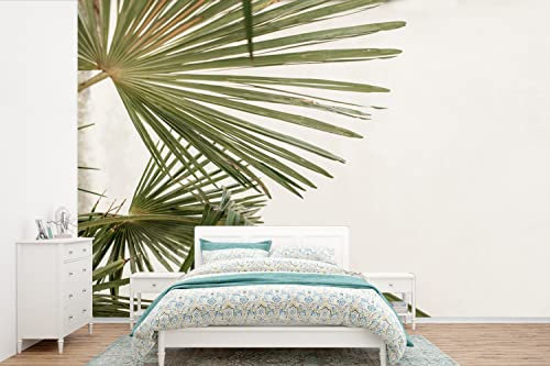 MuchoWow Papier peint Feuilles de palmier - Vert - Nature Papier peint photo 330x220 cm Papier peint imprimé