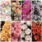 semillas resistentes suculentas, semillas macizos de flores, plantas exóticas resistentes semillas suculentas, Semillas de pradera de flores perennes, decoración de otoño. plantas 100pcs