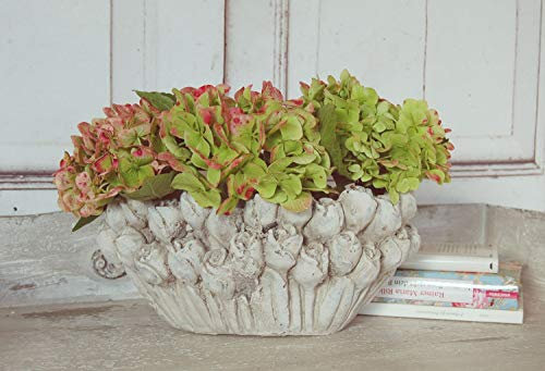 windschief-living Landhaus Übertopf Rose, Schale im Antique Shabby chic