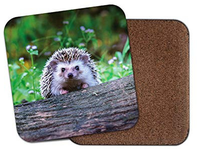 14322 Untersetzer, freche Igel – British Wildlife Garden, niedlich, witziges Naturgeschenk