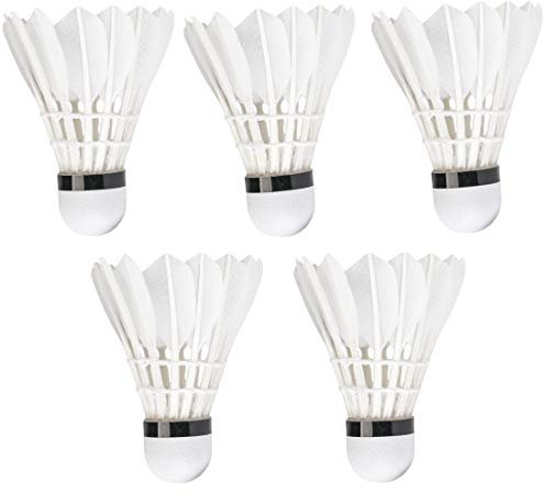 JLchen 5-Pack Advanced Goose Feather Badminton Shuttlecocks with Great Stability and Durability,Nylon Shuttlecocks Indoor Outdoor Sports Hight Speed Training Badminton Birdies Balls (5)