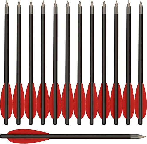 WANVZMR 6,3Carbon Pistole Armbrust Bolzen Pfeile,Mini Armbrustpfeile Armbrustbolzen mit Stahlspitzen Jagdpfeile für 50-80 lbs Pistolenarmbrust Präzisionsziel,Schießübungen und kleine Jagd(12stk rot)