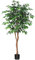 Kazeila Kunstpflanze Ficus Benjamina 150cm Künstliche Pflanzen Groß mit Natürlichen Stämmen Deko Pflanze Kunstbaum ideal für die Innendekoration Schlafzimmer Büro