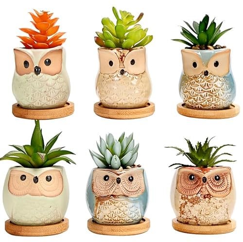 simpa 6PC Decorative Owl Themed Ceramic Plant Pots - Funky Owls Design 7.3cm (H) x 7.3cm (Dia)