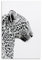 TSIDDKA Leoparden-Poster, Wohnzimmer, Schlafzimmer, Dekoration, moderne ästhetische Wandkunst, Poster, Geschenk für Freunde, ungerahmt, 50 x 75 cm