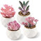 ALANGDUO 4 Mini Suculentas Artificiales, Planta Artificial Pequeña en Maceta Blanca, para Hogar, Jardín, Oficina, Balcón, Ventana, Escritorio, Decoración de Habitación,Rosa